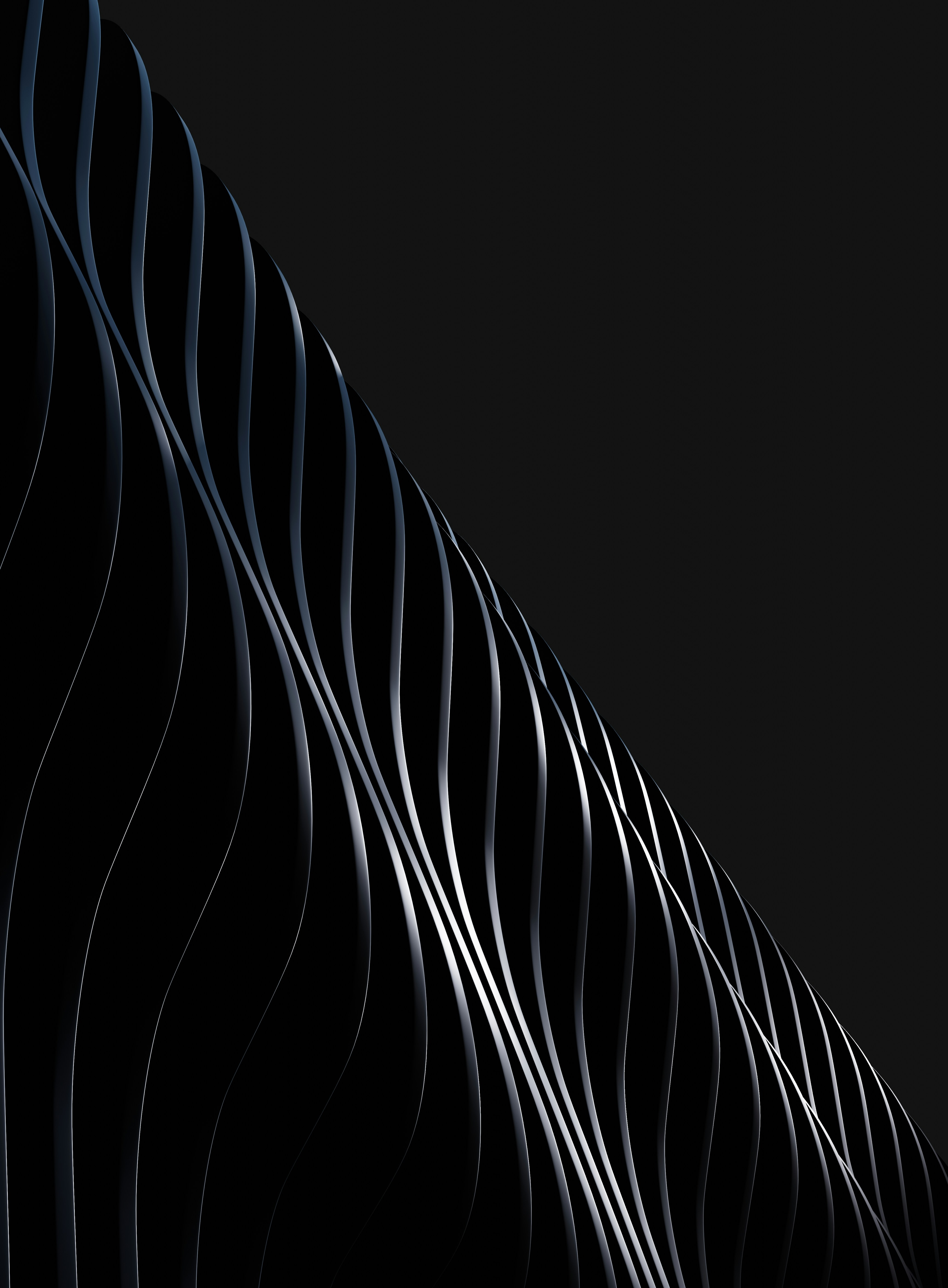 Photo by blenderdesigner