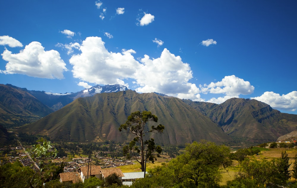 a landscape with trees and mountains in the back