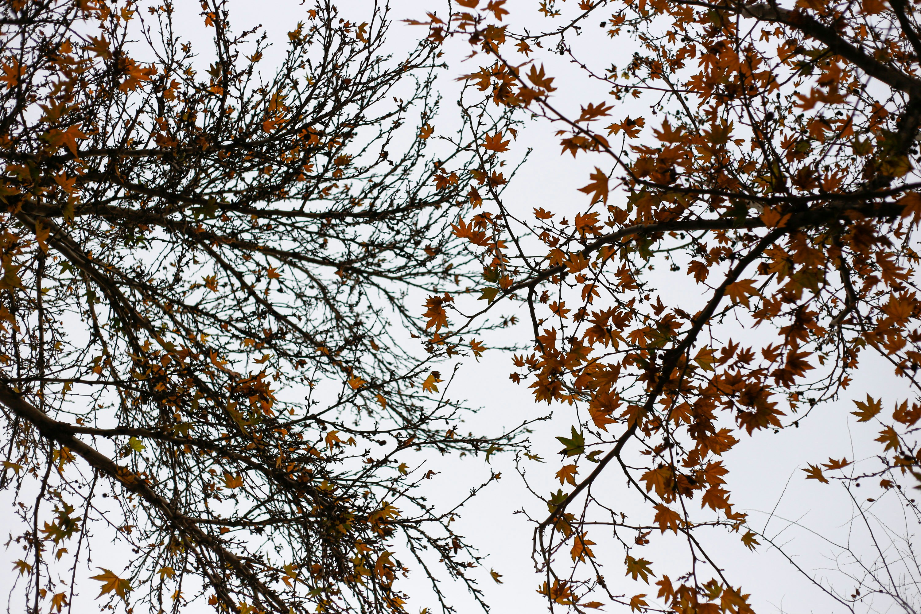 Photo by adventurous_artist