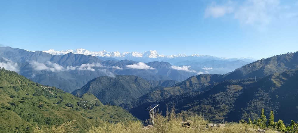 a landscape with mountains and trees