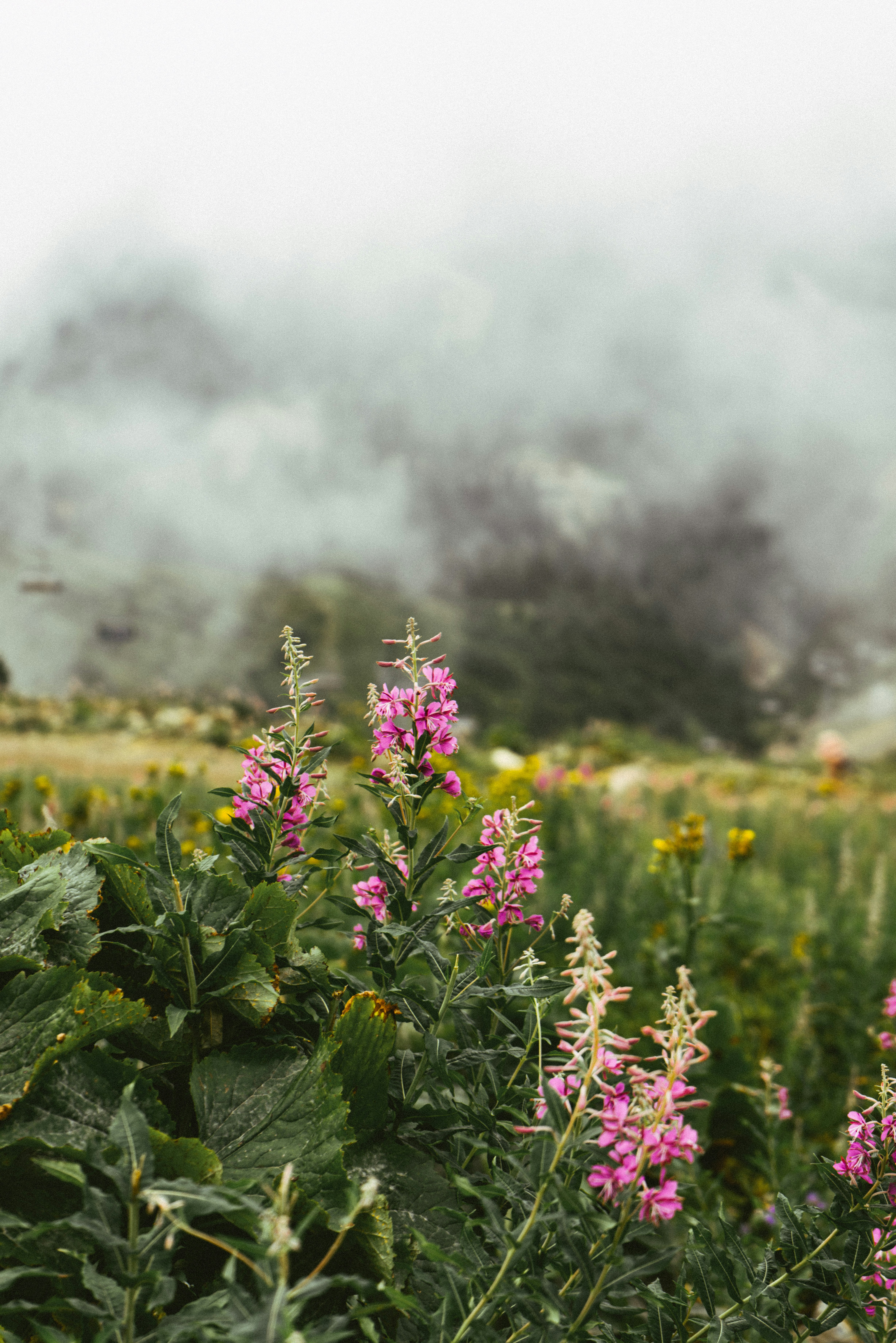 Photo by korobovaphoto