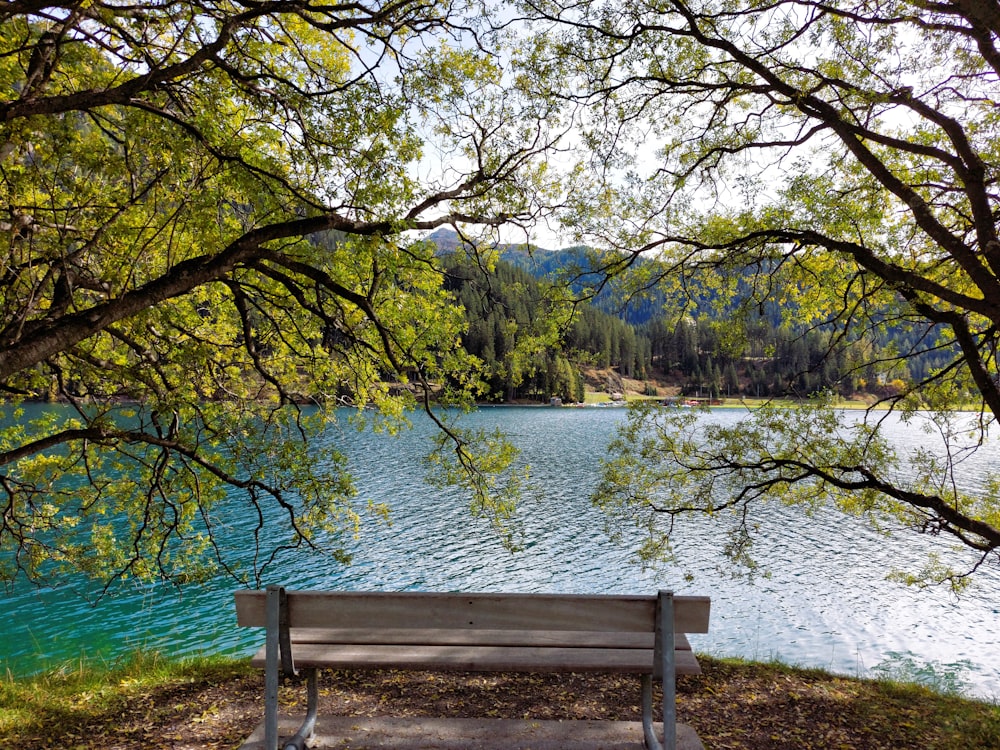 a bench sits by a lake