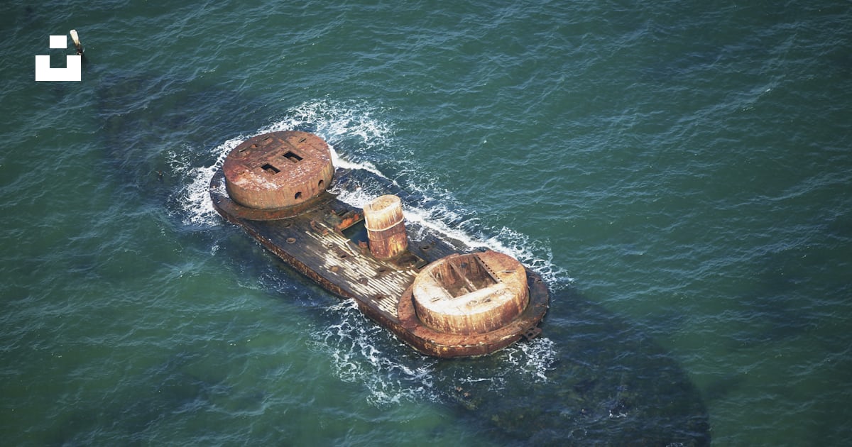 A small boat with a couple of turtles on it photo – Free Melbourne vic ...