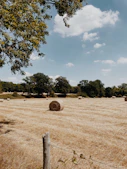 a field with a fence and trees in the background