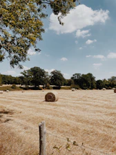 a field with a fence and trees in the background