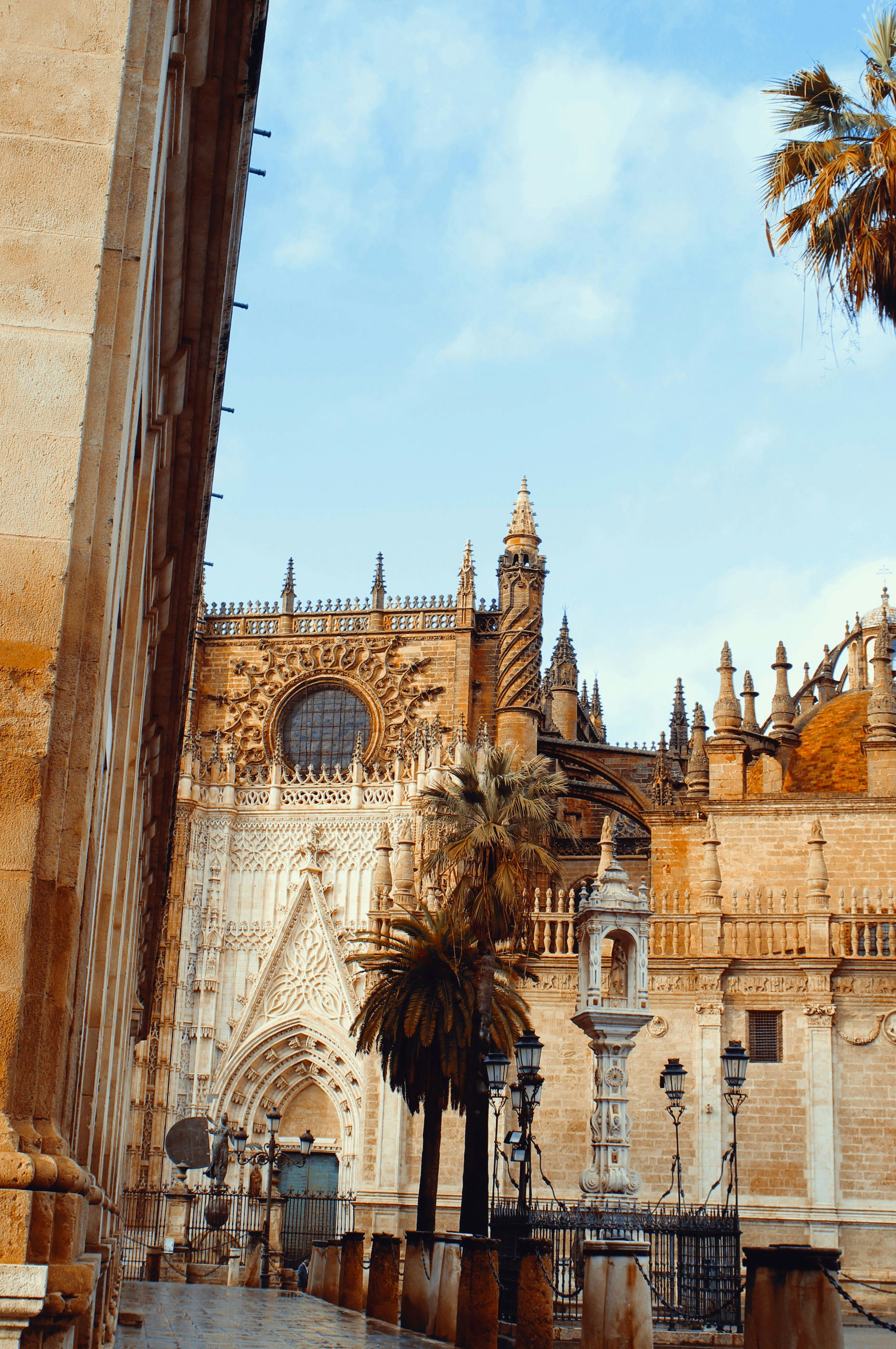 Photo by yaramacchado