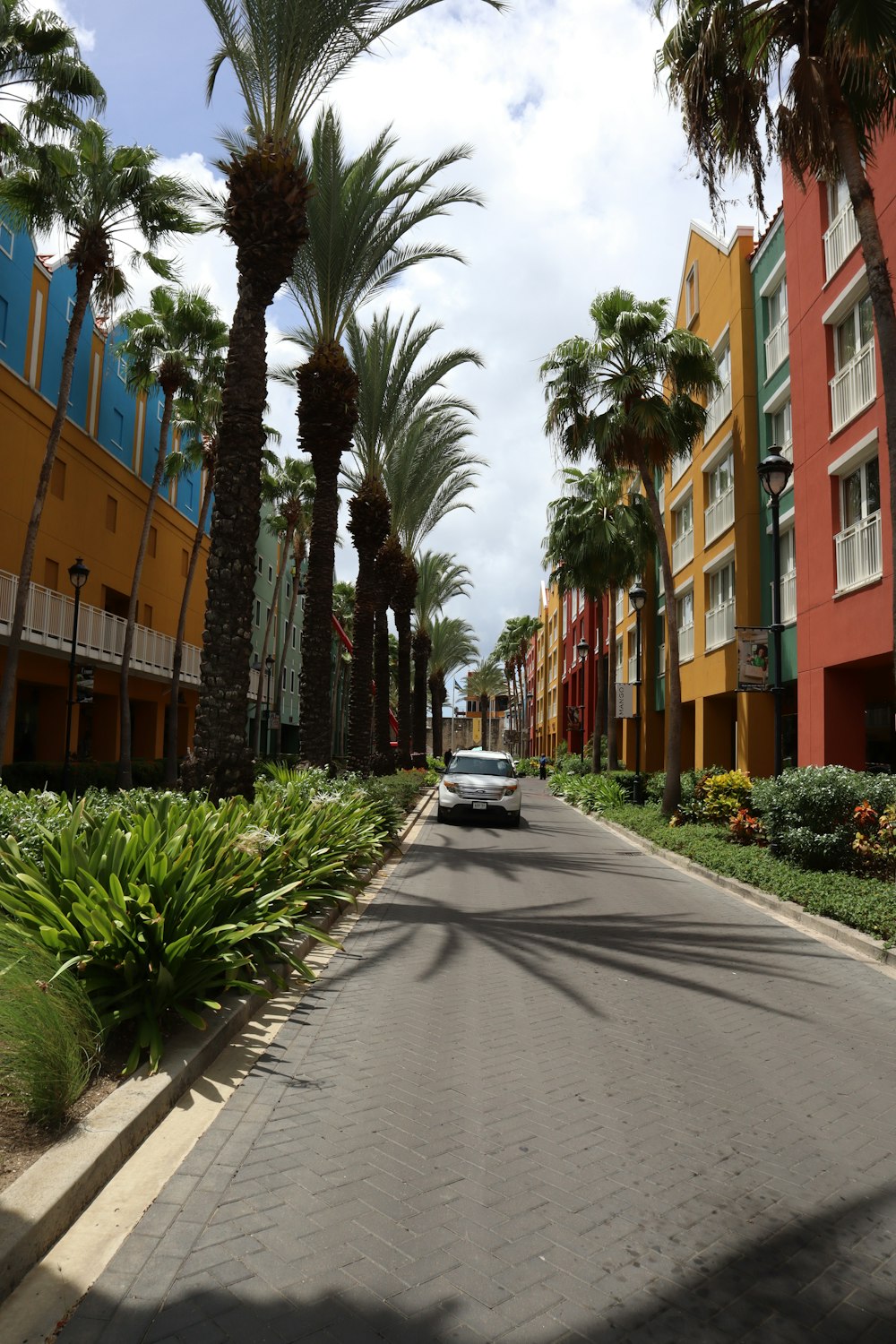 a street with palm trees and buildings