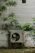 a planter outside with a plant growing out of it