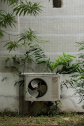 a planter outside with a plant growing out of it