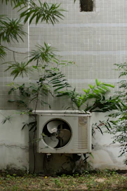 a planter outside with a plant growing out of it