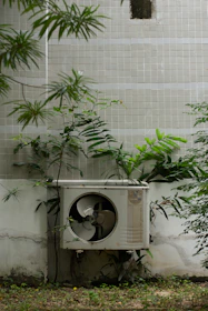 a planter outside with a plant growing out of it