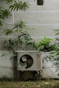 a planter outside with a plant growing out of it