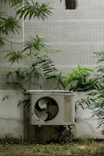 a planter outside with a plant growing out of it