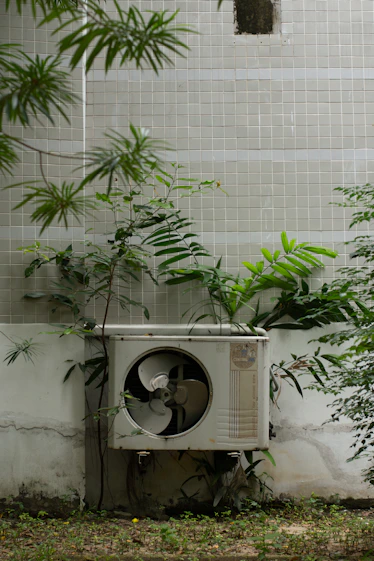 a planter outside with a plant growing out of it