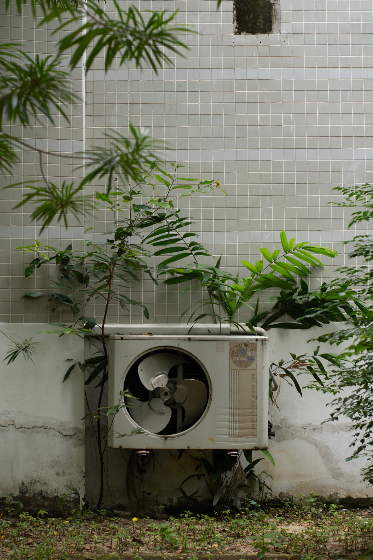 HVAC maintenance tune-up DFW