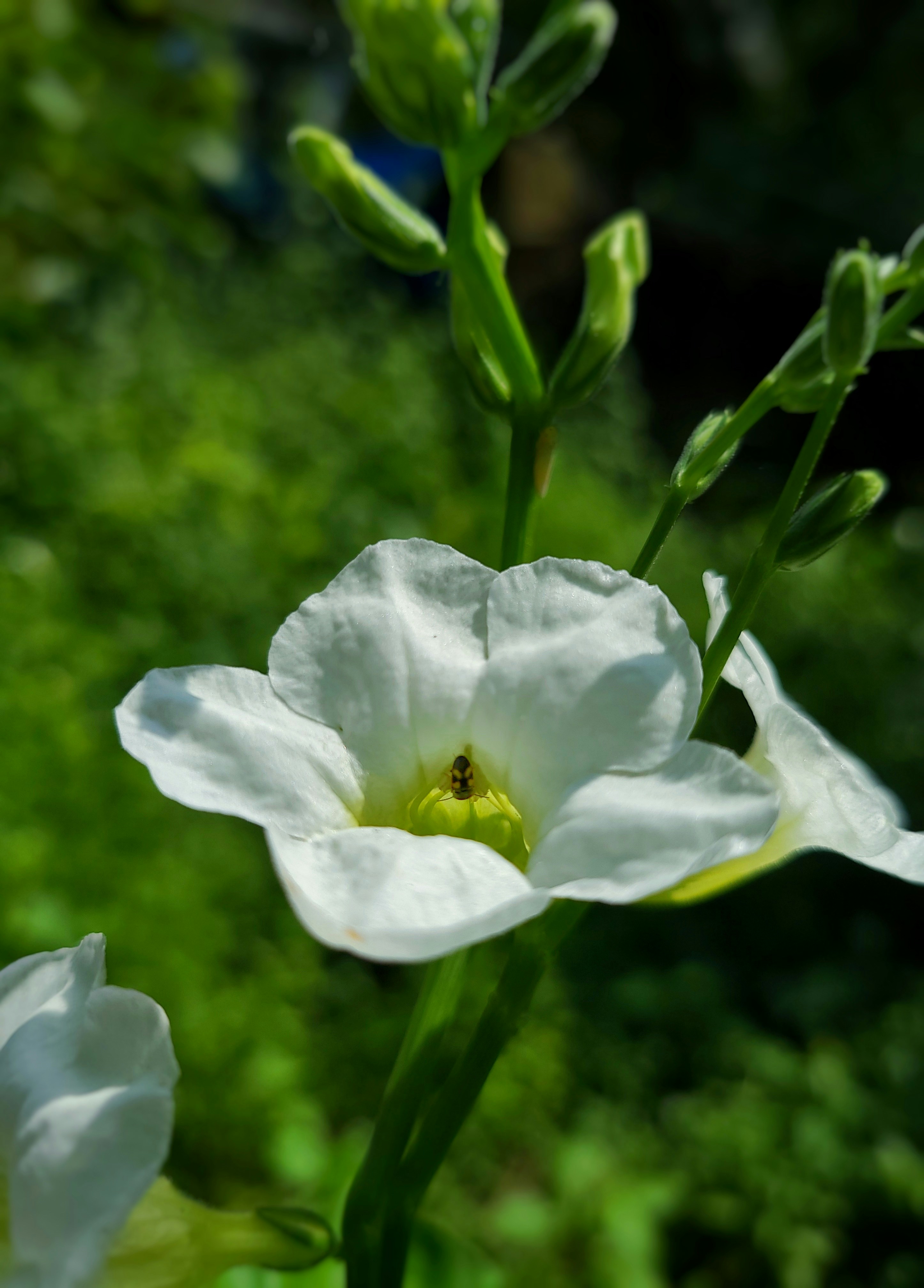 Photo by nickcardoso