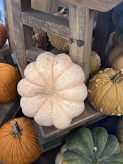 A variety of pumpkins and gourds are displayed on a rustic wooden stall. The central pumpkin is pale with a ribbed texture, surrounded by other pumpkins in shades of orange and green. Some gourds have a bumpy texture.