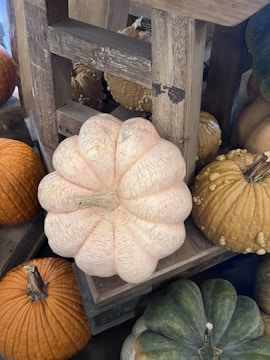 A variety of pumpkins and gourds are displayed on a rustic wooden stall. The central pumpkin is pale with a ribbed texture, surrounded by other pumpkins in shades of orange and green. Some gourds have a bumpy texture.
