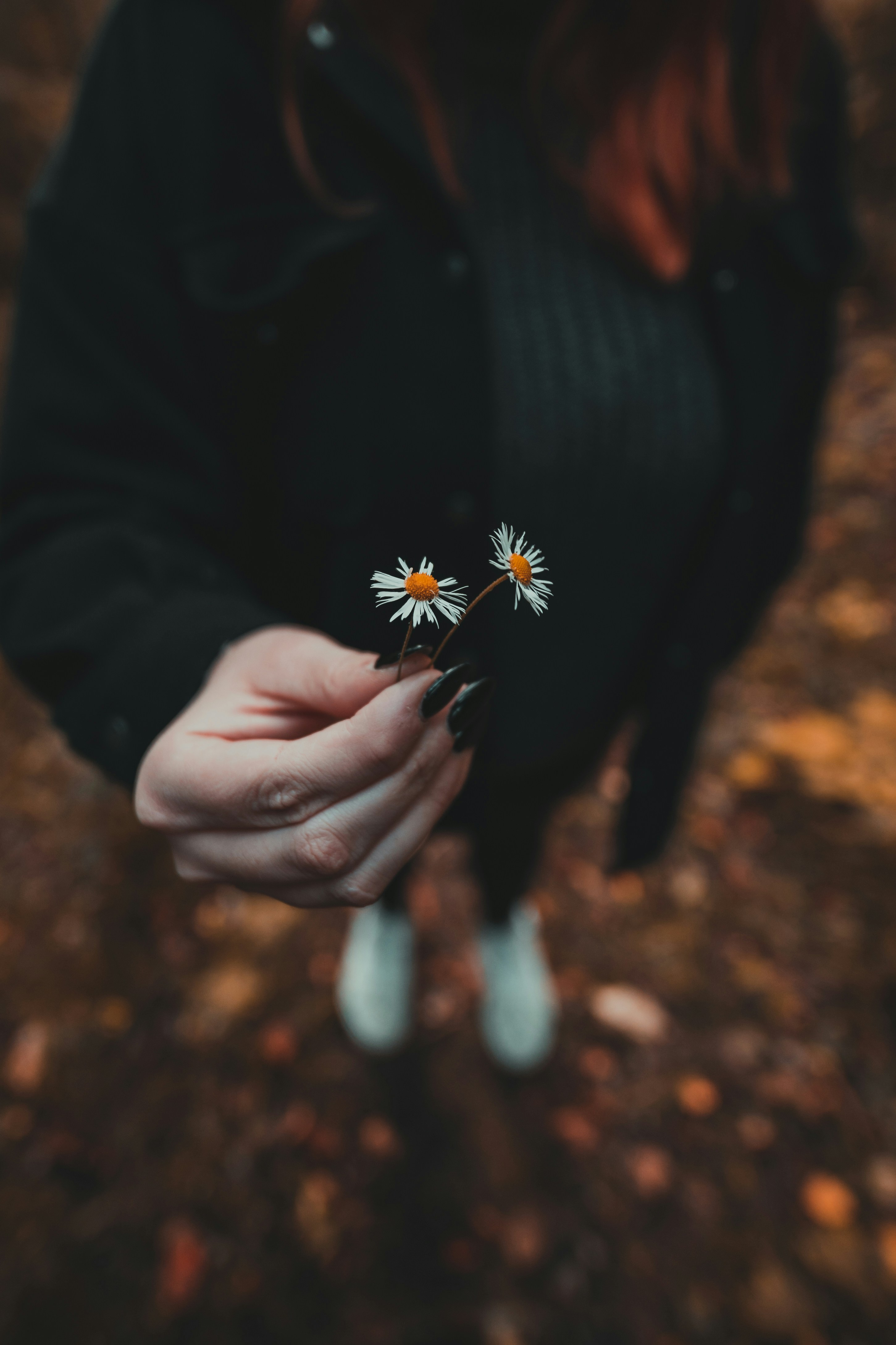 Photo by thebrowny