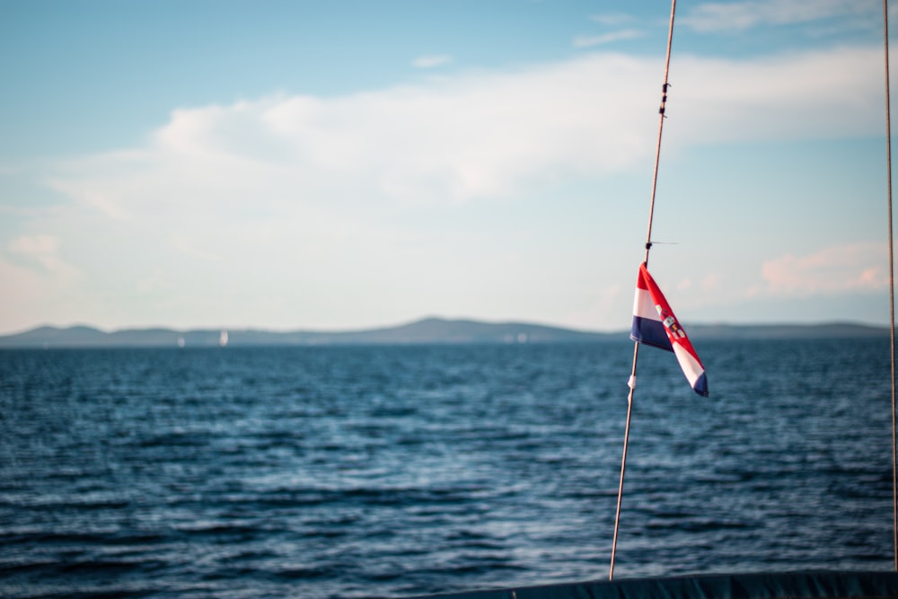 a flag on a pole in the water