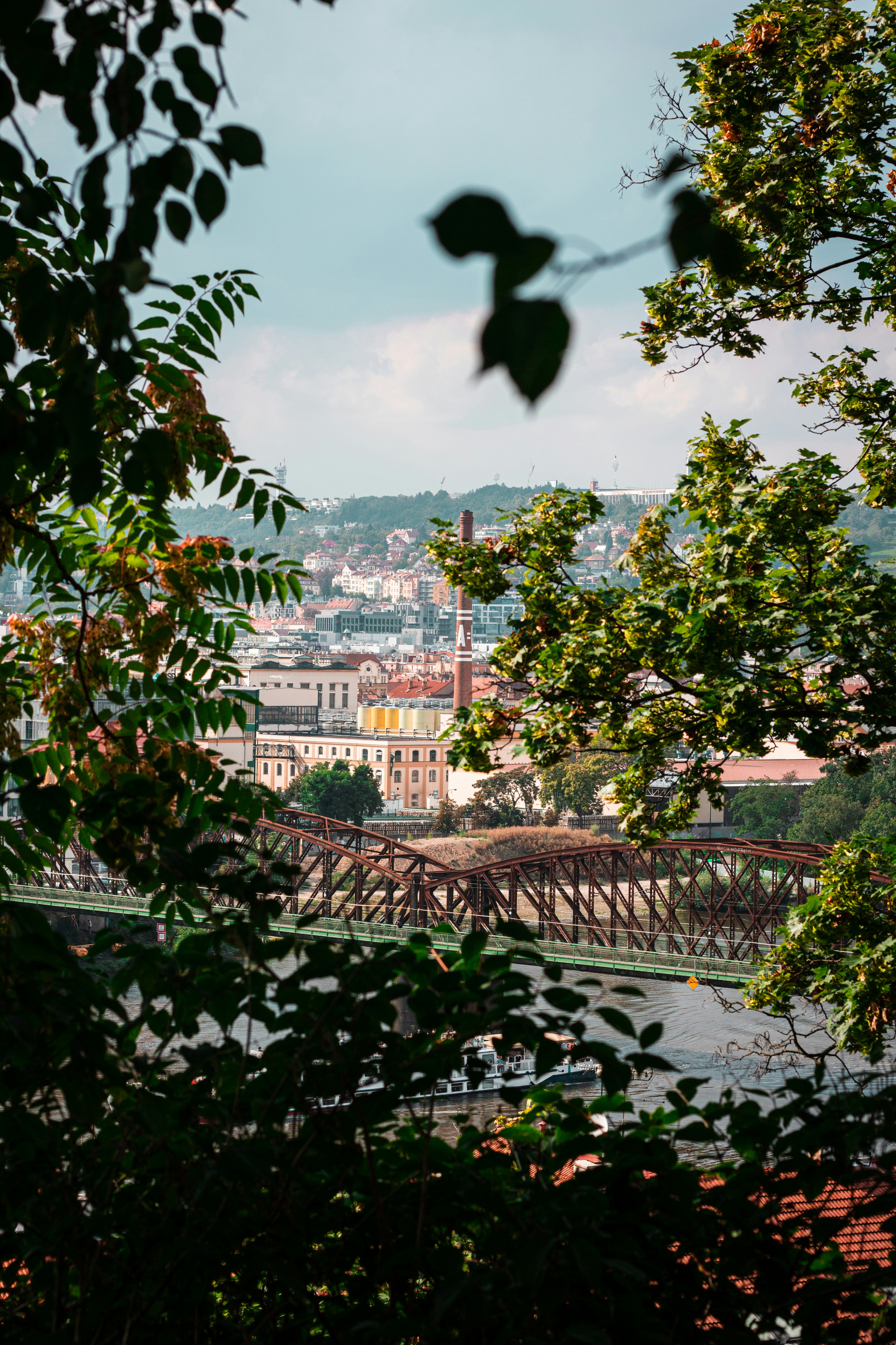 Photo by mikolasvoborsky