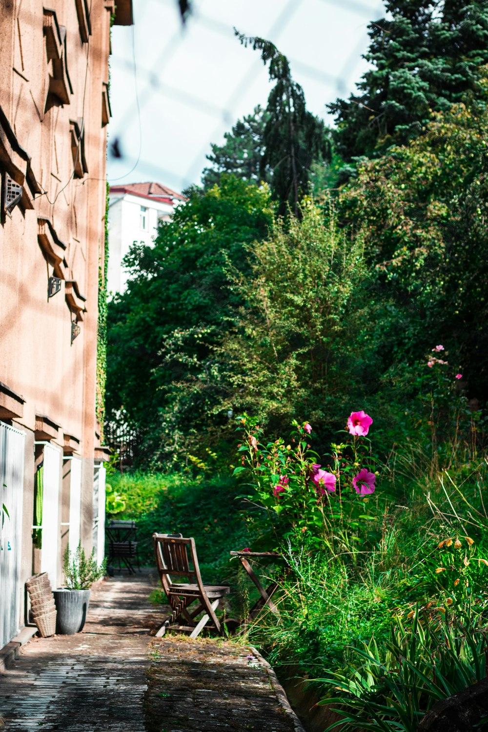 a chair and a flower garden