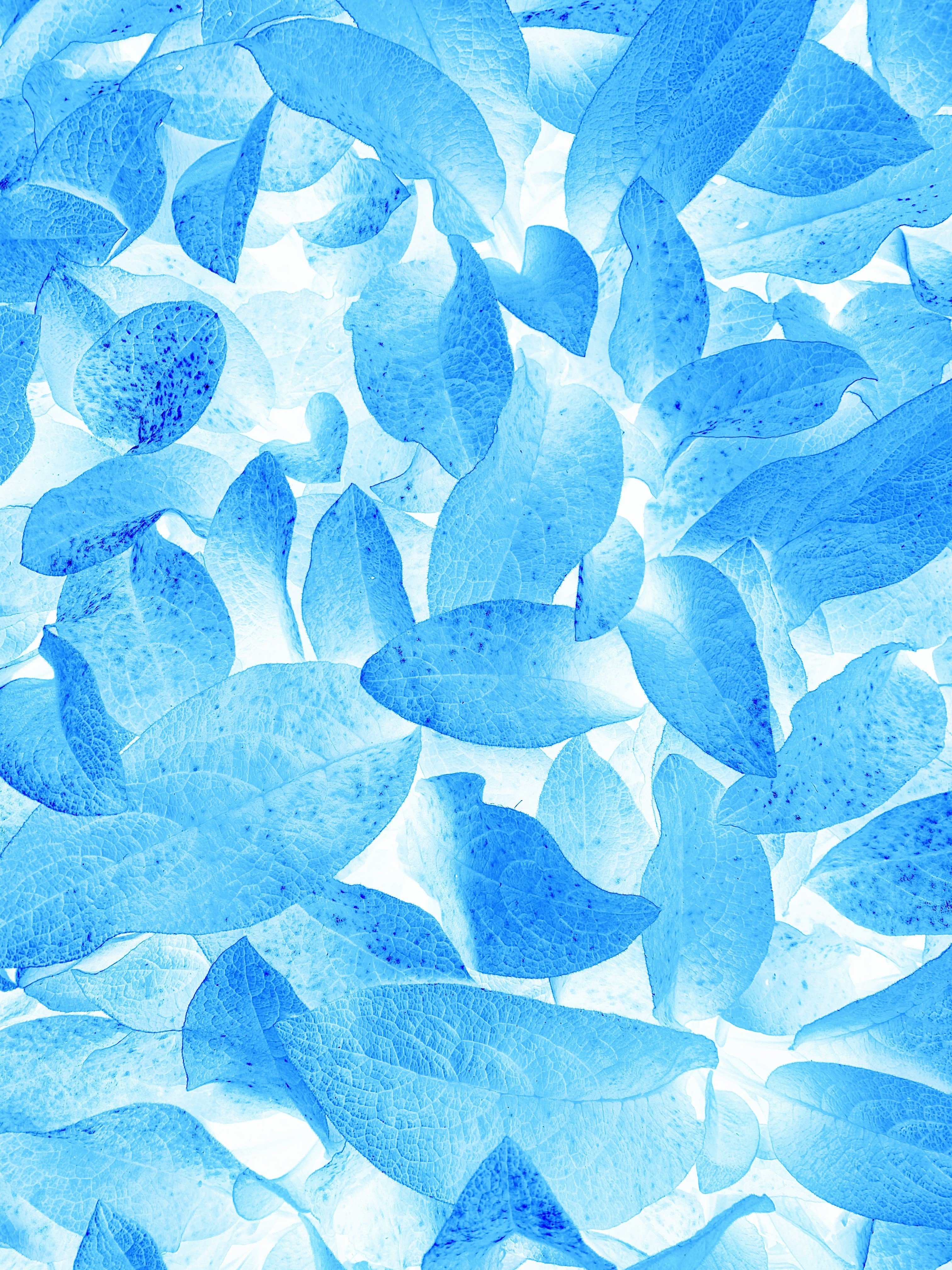 Photo by eugene_golovesov