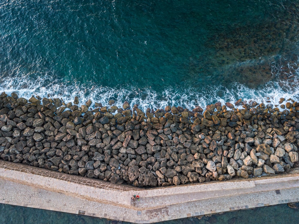 a large group of seagulls on a rocky beach