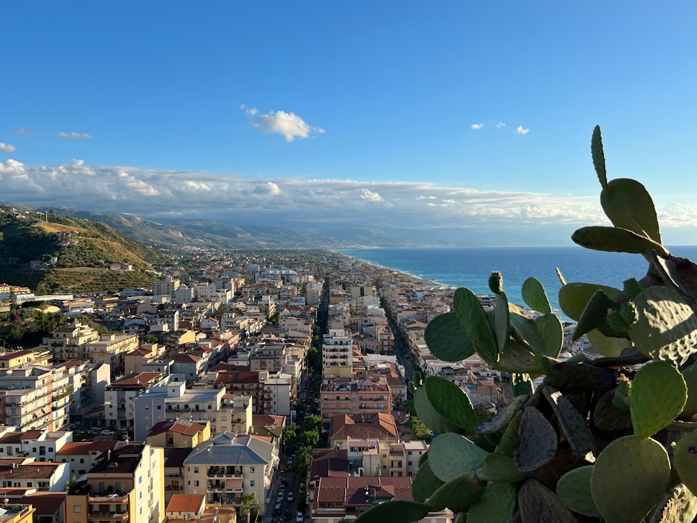 a city with a body of water in the background