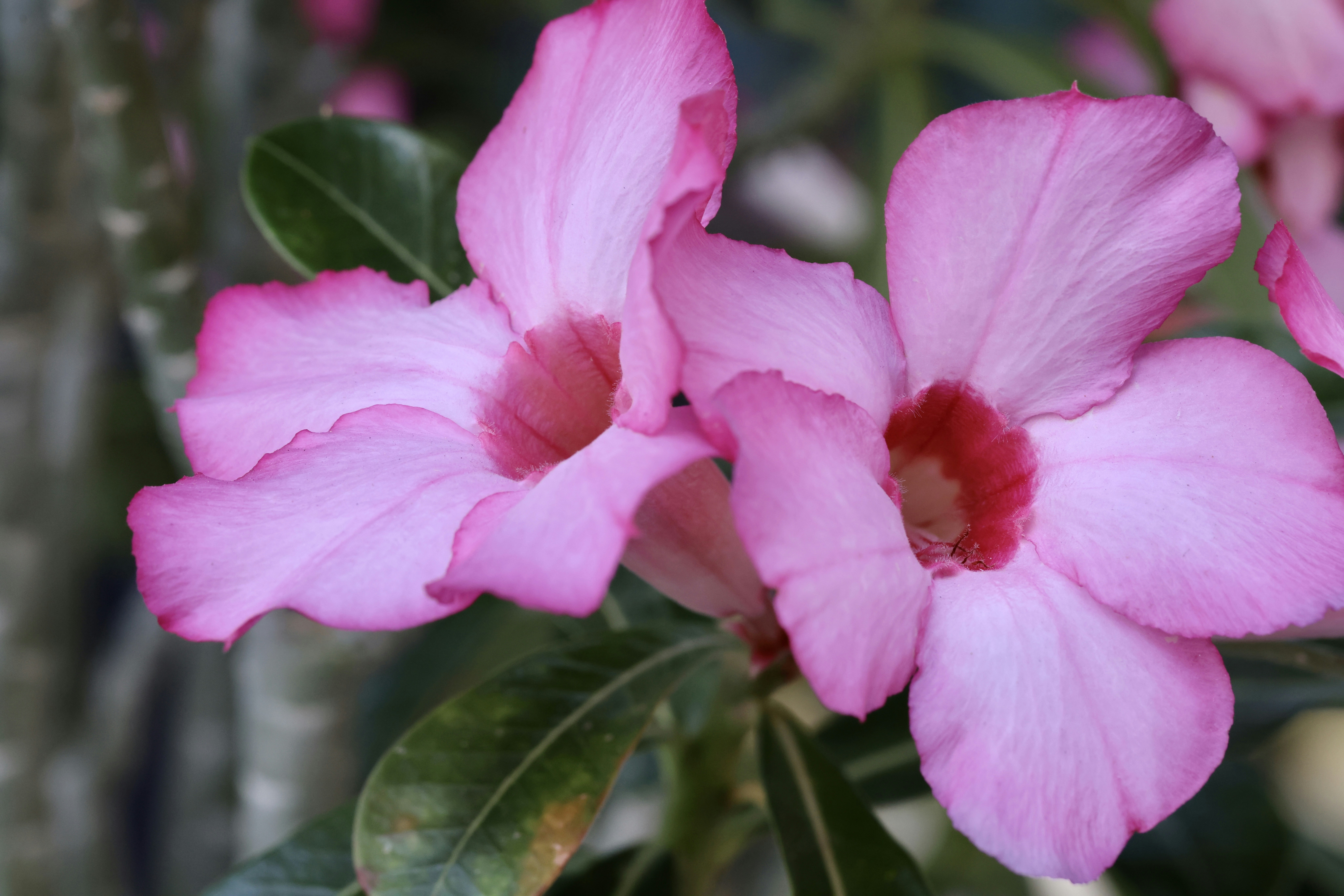 Photo by dickenslin76