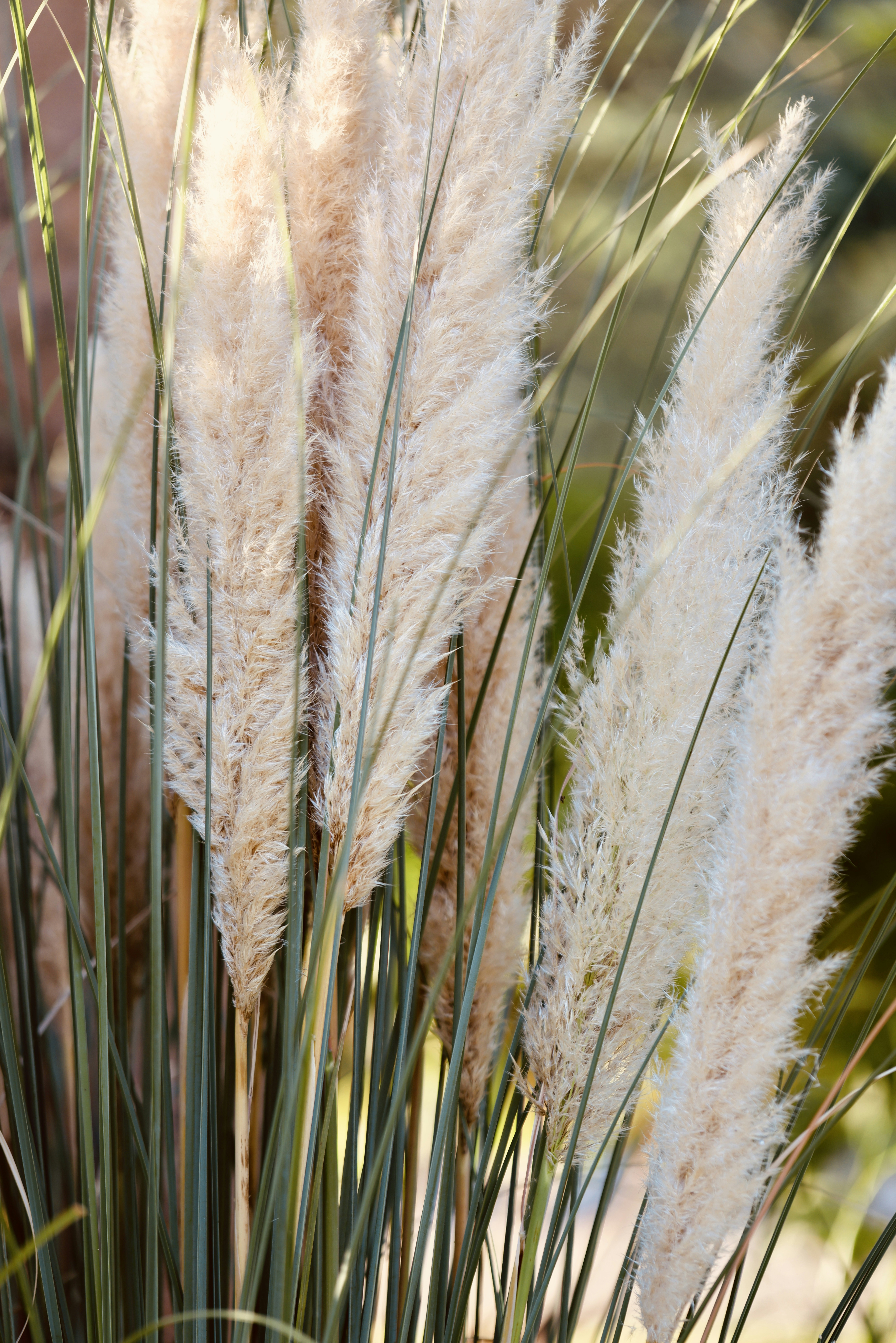 Photo by dickenslin76