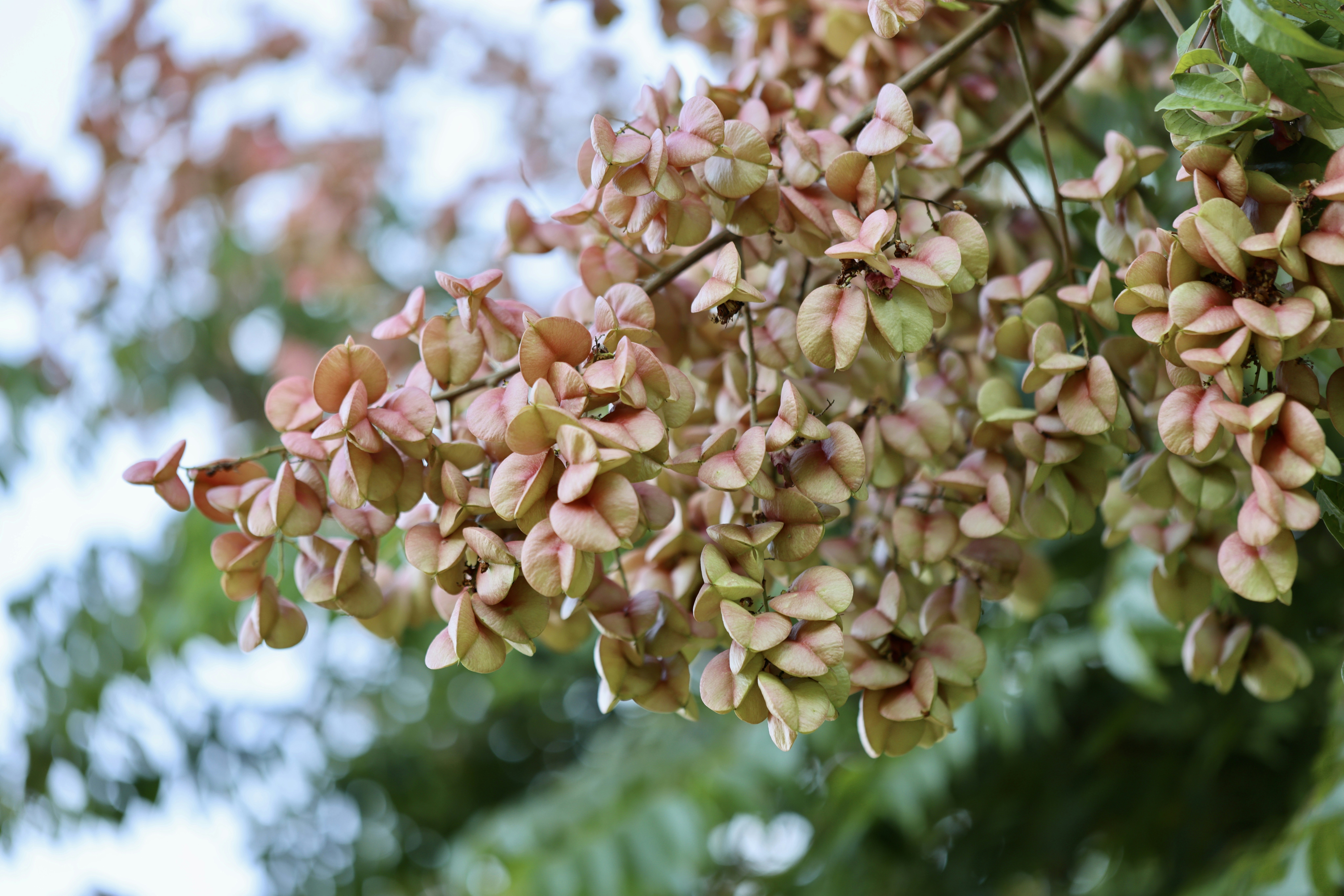 Photo by dickenslin76