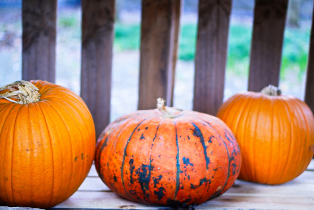 a group of pumpkins