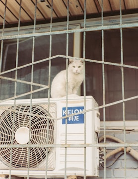 A white cat is perched on top of an outdoor air conditioning unit, surrounded by a metal cage or grating. The unit has a label with blue text. The background shows a window or building facade.