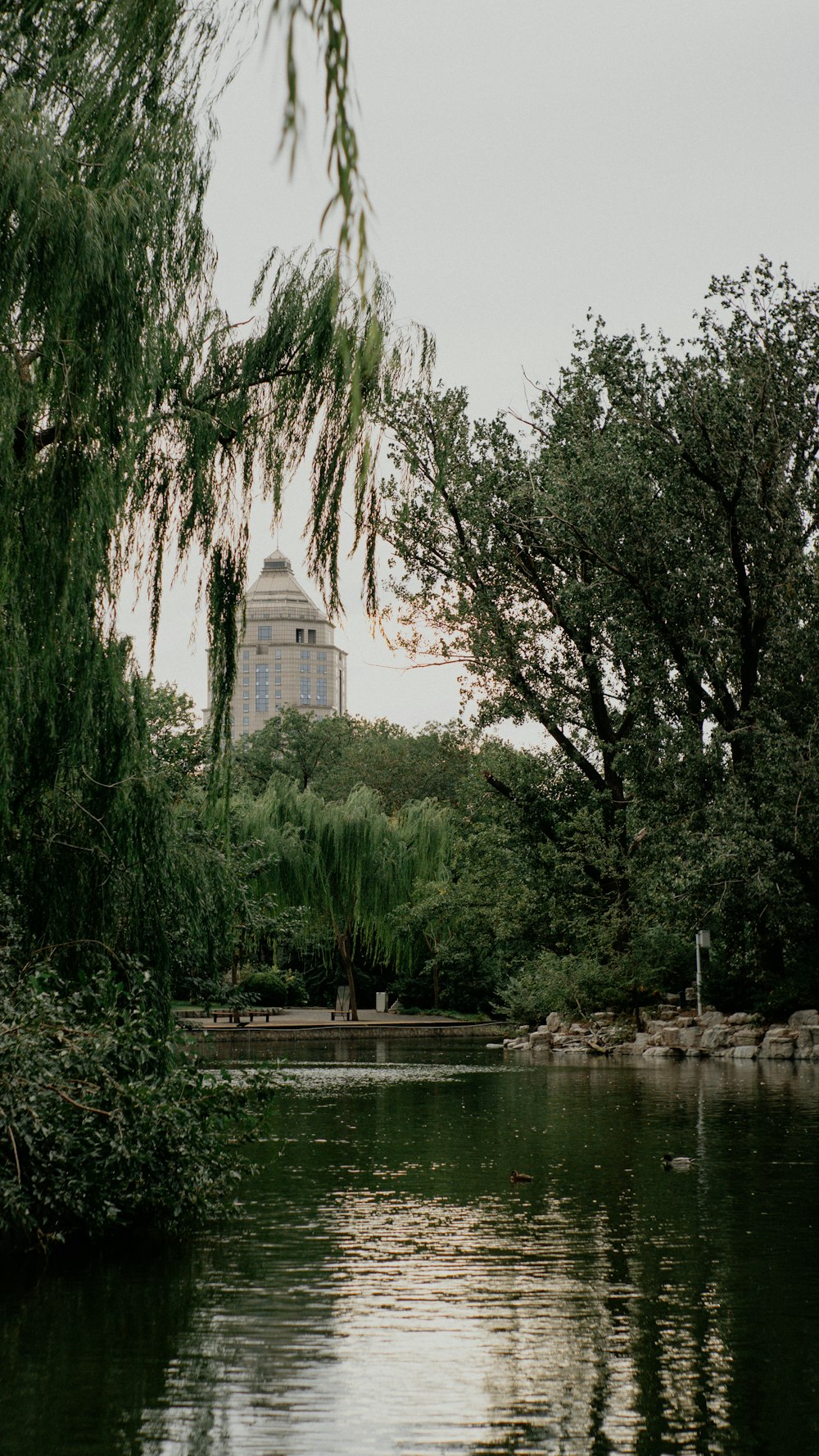 a body of water with trees and a building in the background