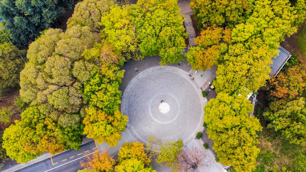 a circular tunnel surrounded by trees