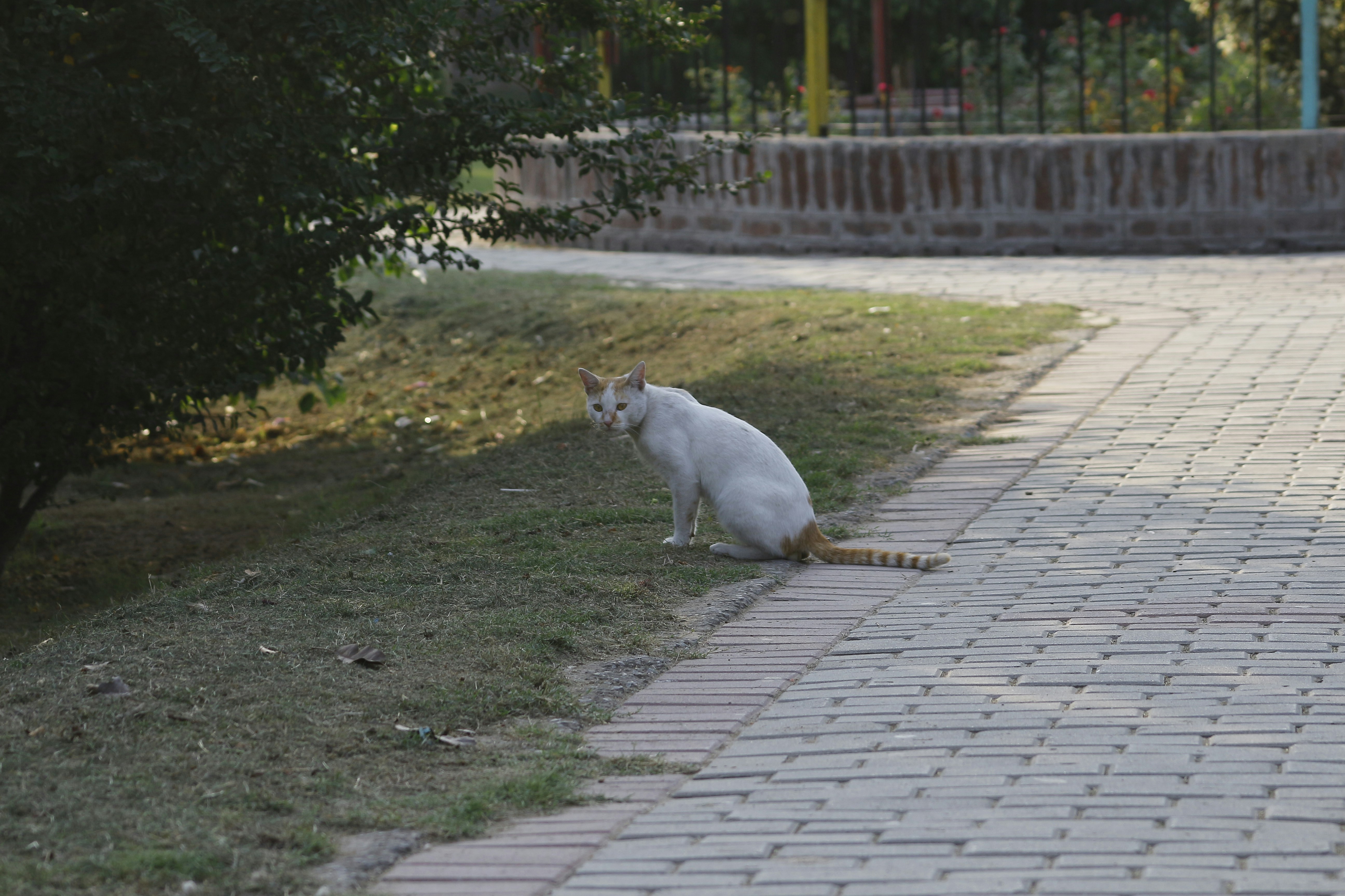 Photo by ughani