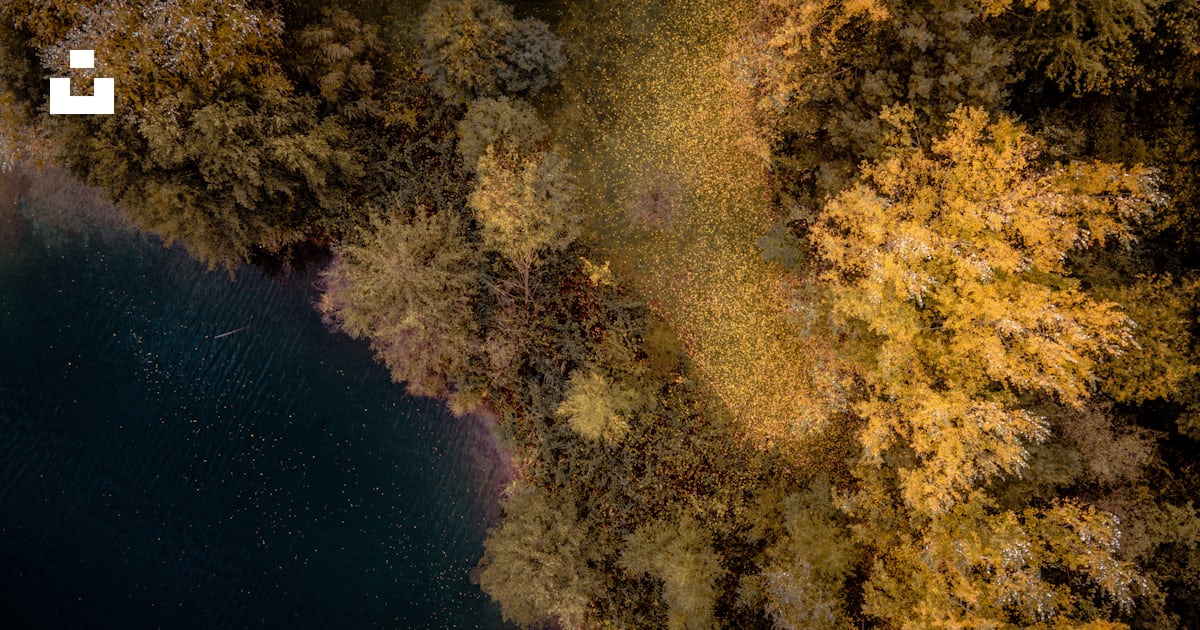 A map of the world photo – Free Nature Image on Unsplash