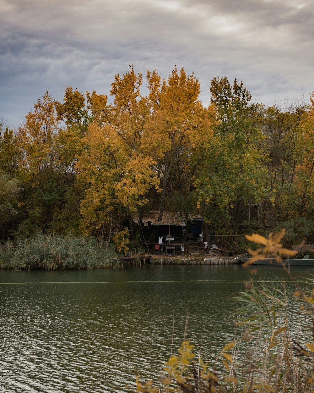 a body of water with trees around it