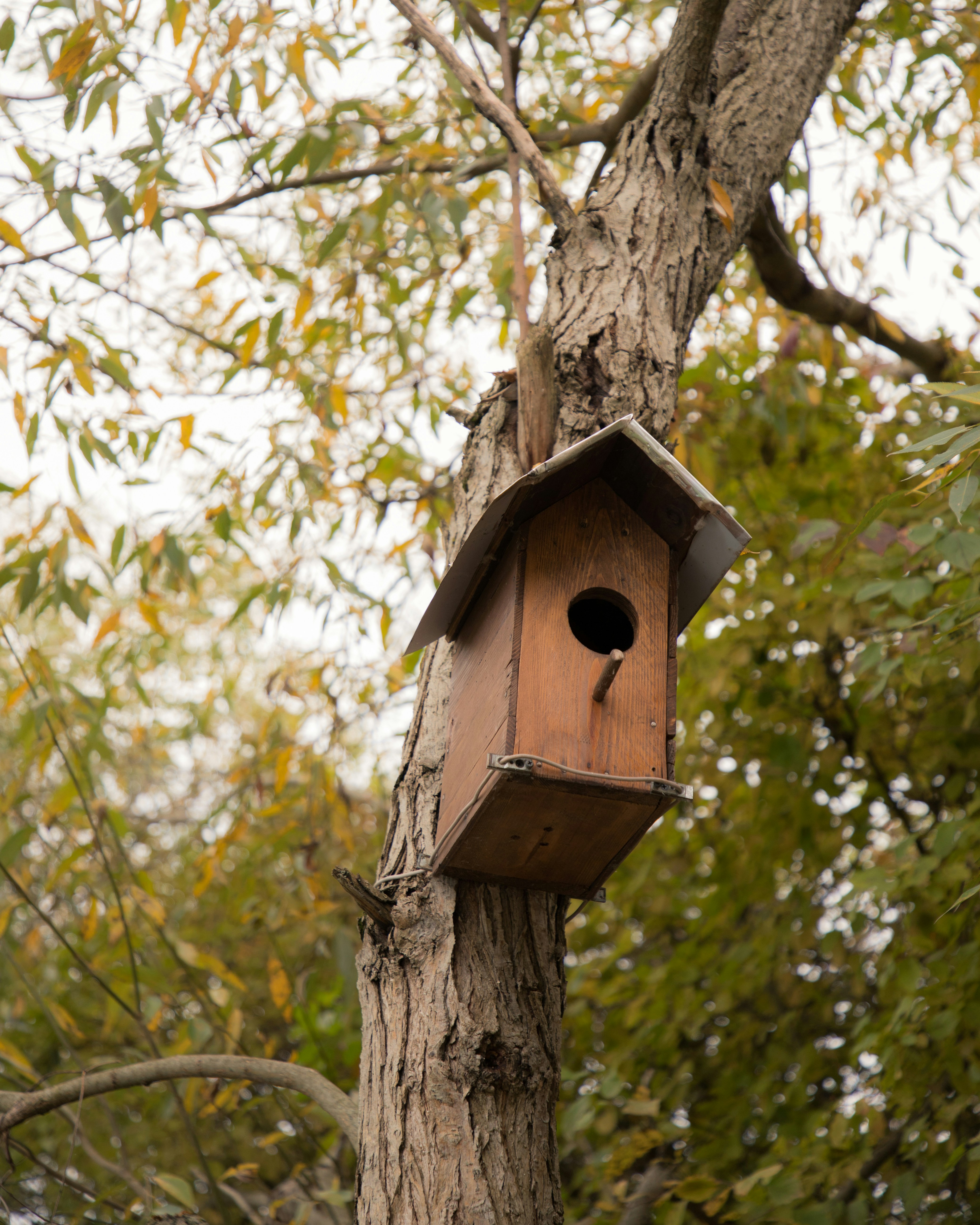 Photo by jovanvasiljevic