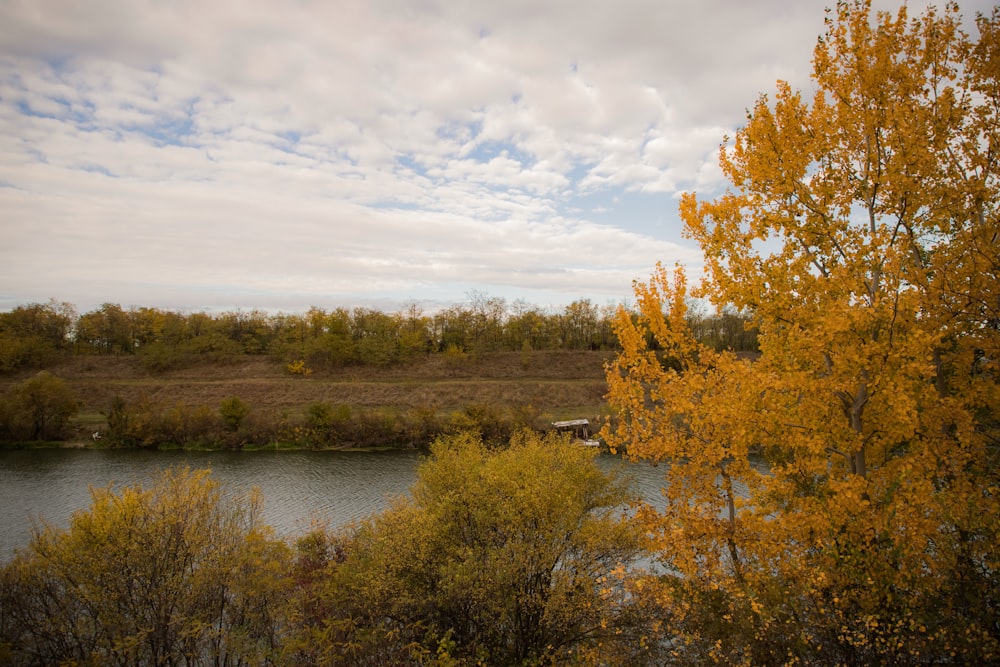 a river with trees around it