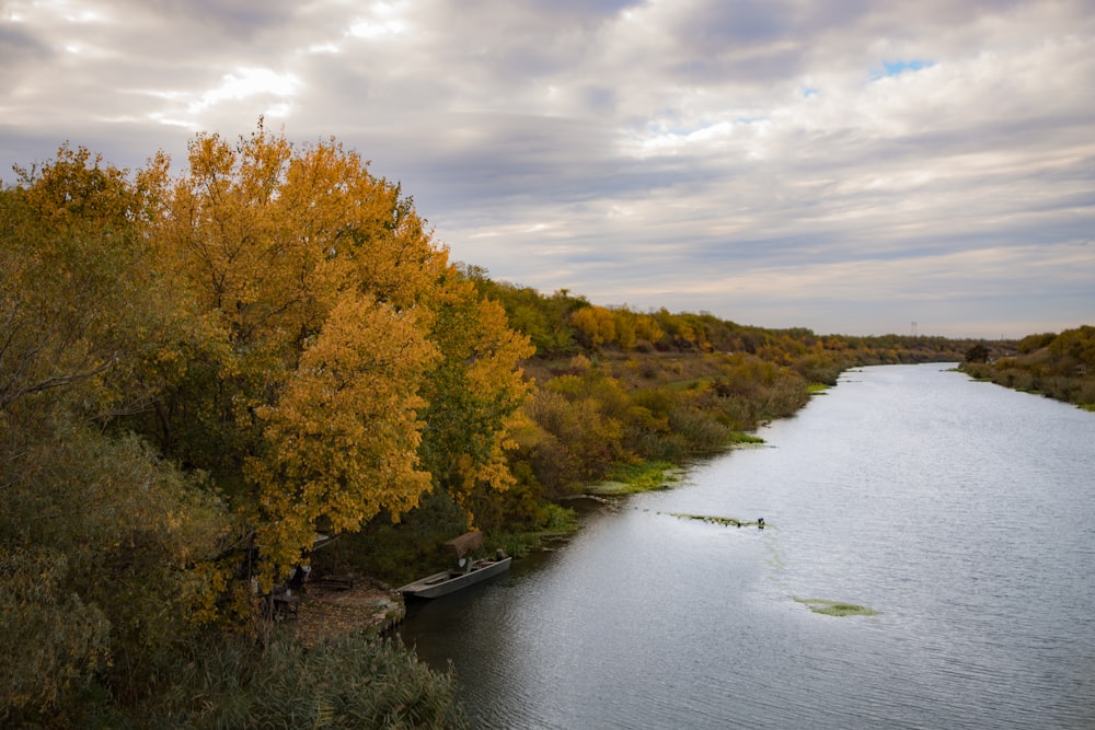 a river with trees on the side