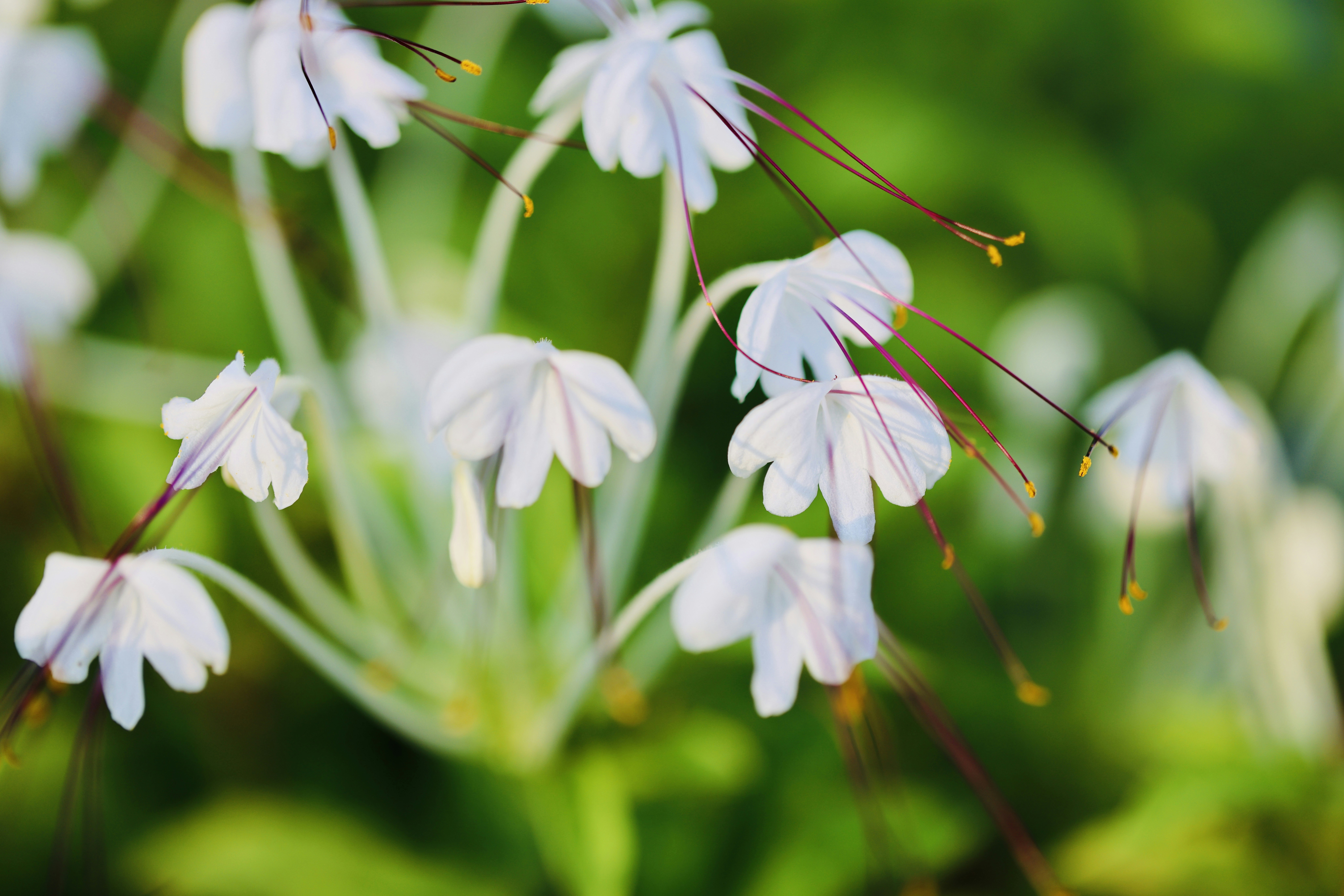 Photo by dickenslin76