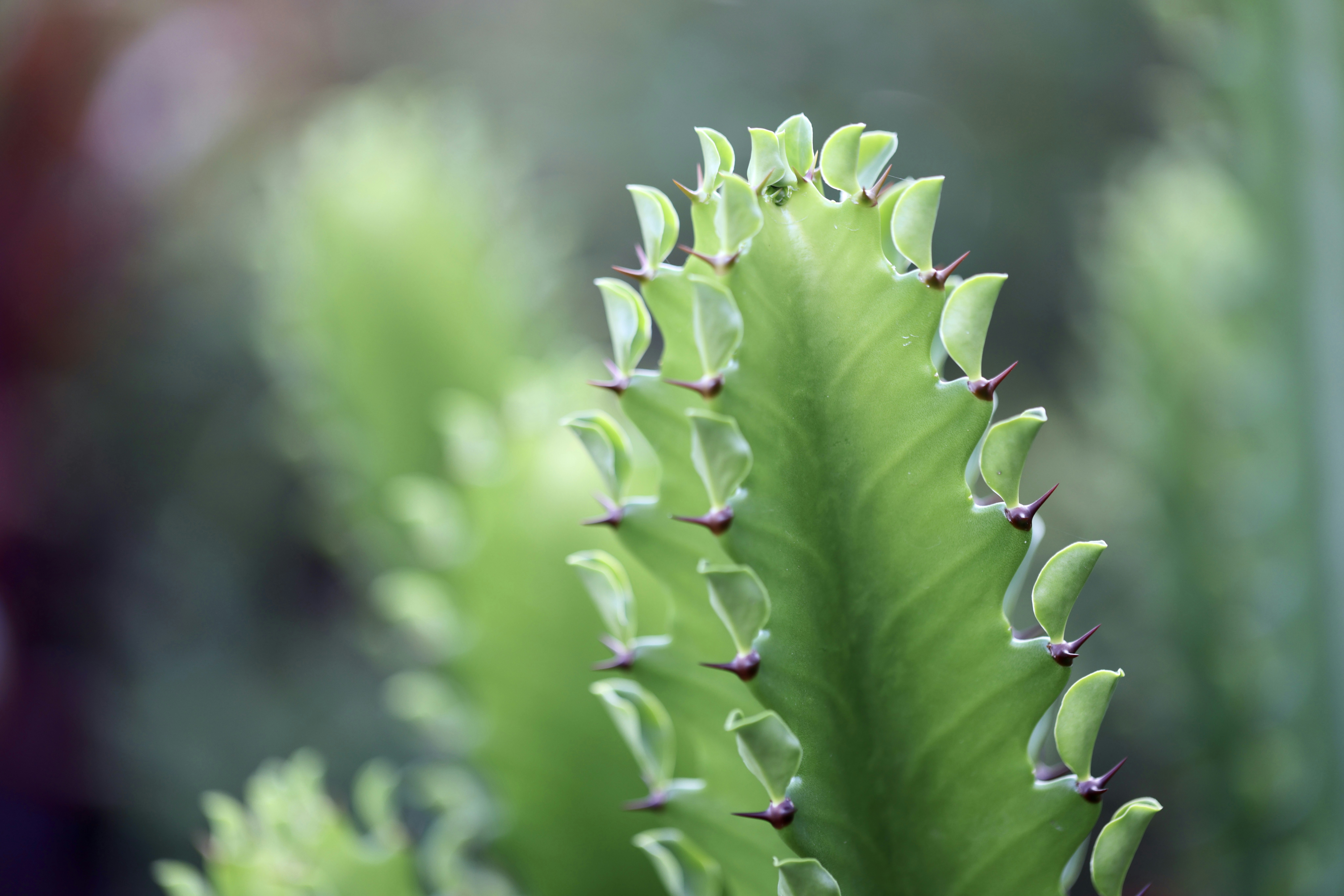 Photo by dickenslin76