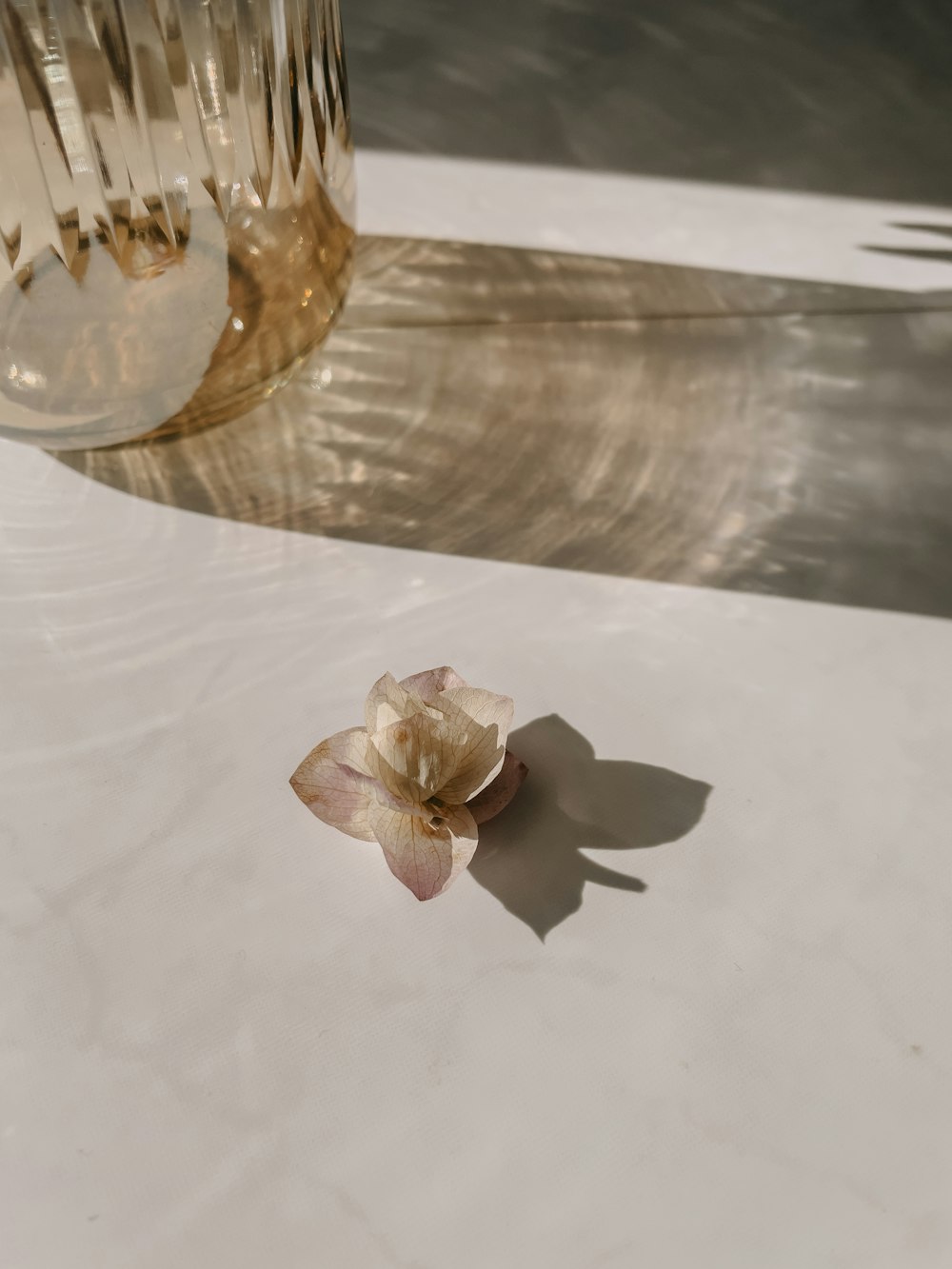 uma flor em uma mesa