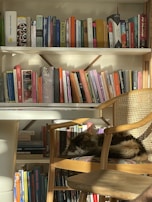 A cozy reading nook filled with books about cats and dinosaurs, sunlight streaming in.