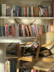 A cozy reading nook with neutral tones, a stack of books, and a sleeping pet nearby.