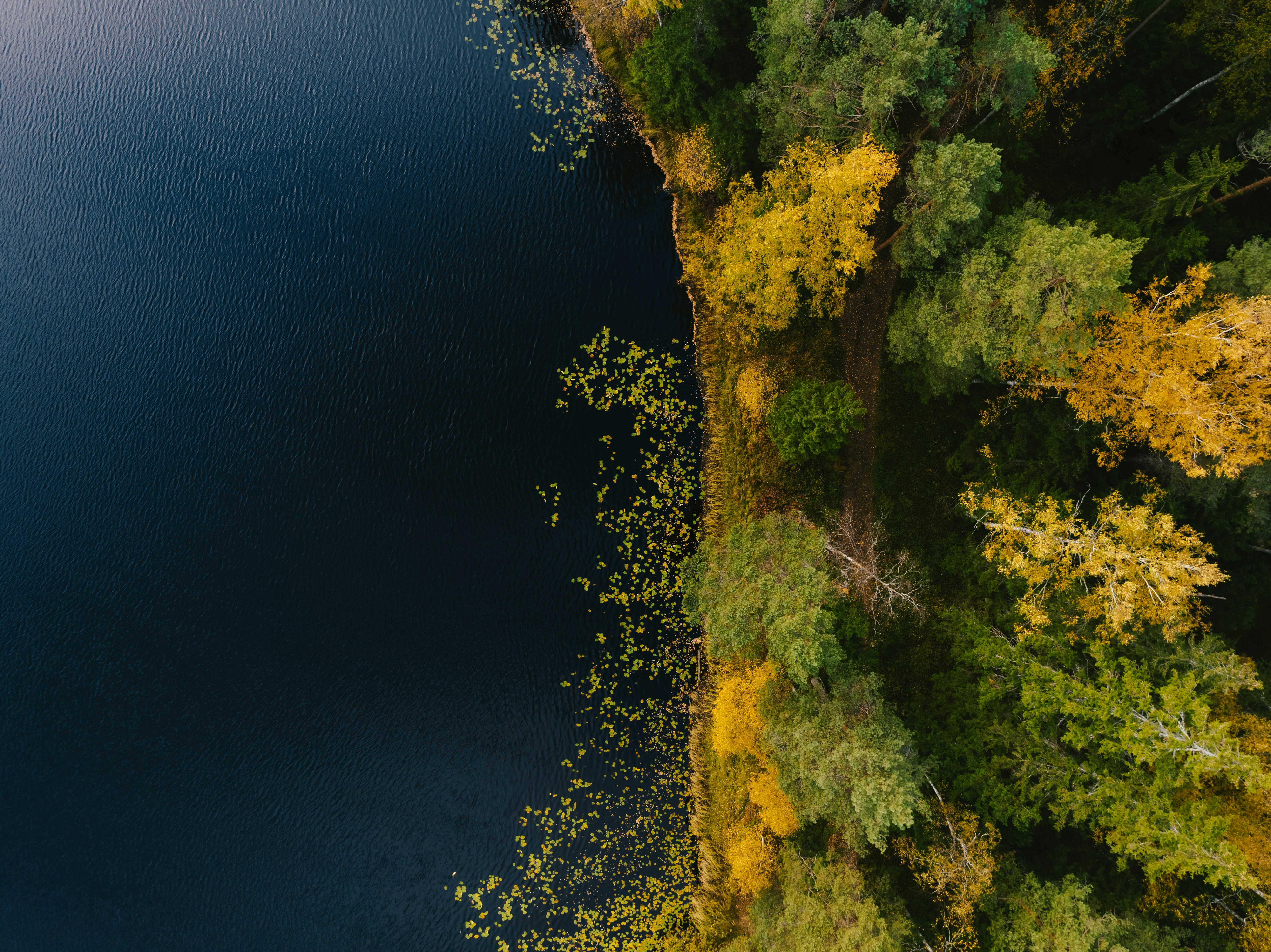 desctiption for item 2