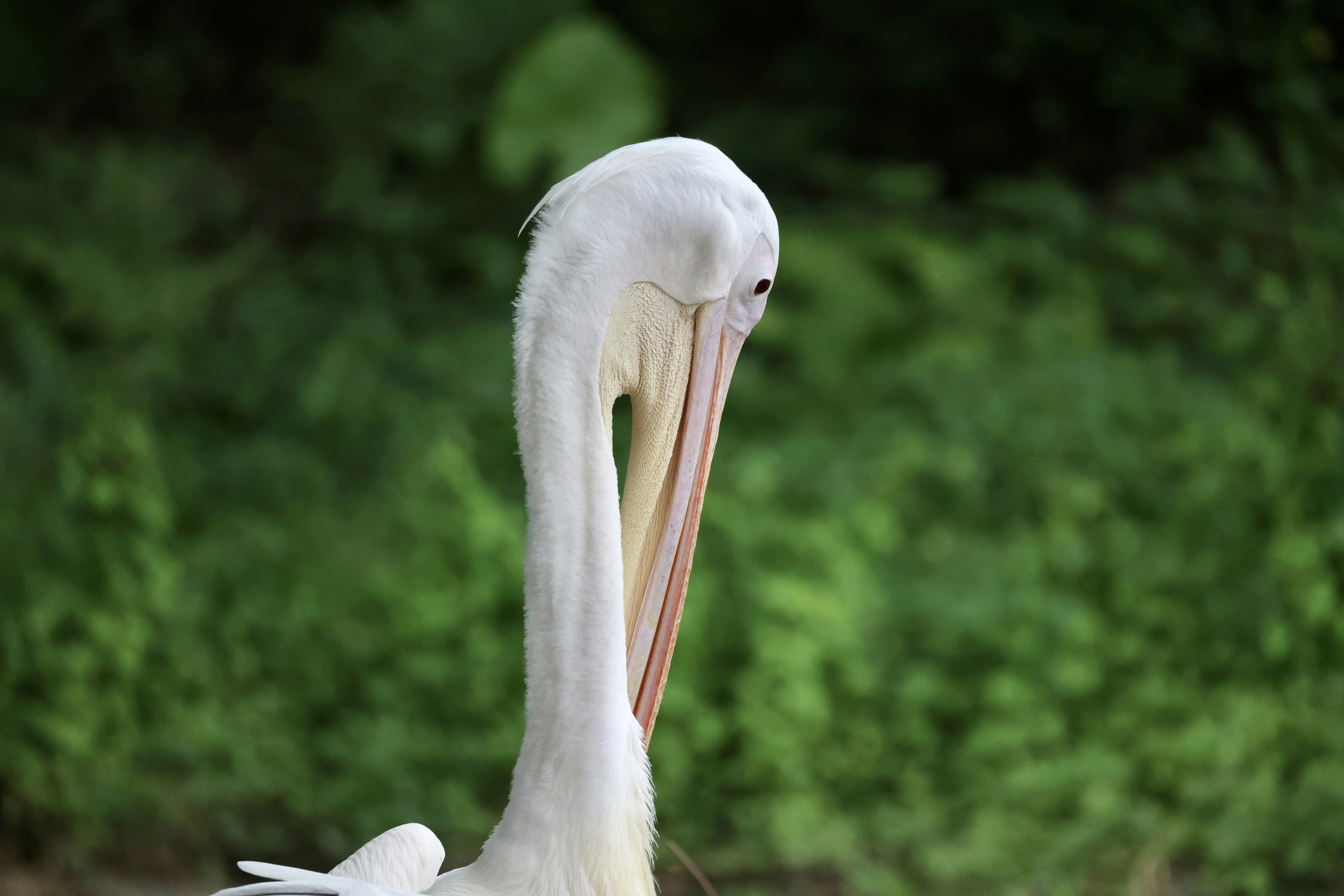 Photo by dickenslin76