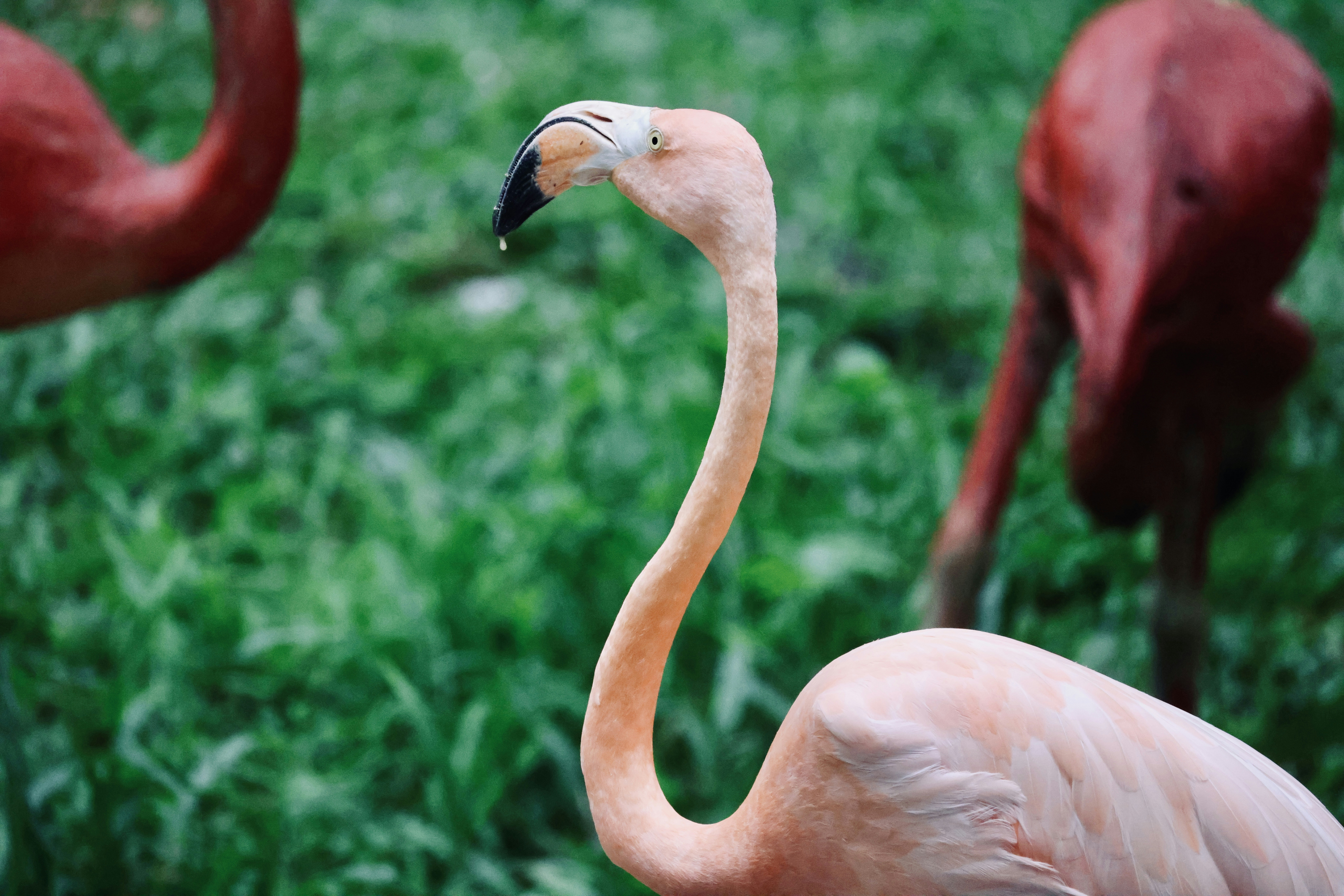 Photo by dickenslin76